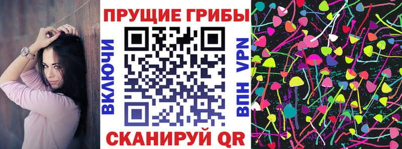 Купить закладки  Пролетарск  Псилоцибиновые грибы Cubensis 