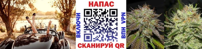 Купить где  Пролетарск  МАРИХУАНА MAZAR 